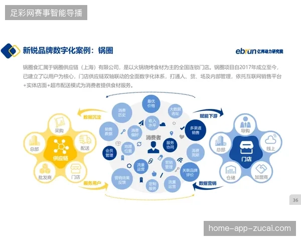 2027年体育服务主战场预判，区域性赛事数字生态将成为行业增长核心引擎